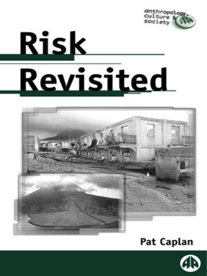 cover image of Risk Revisited
